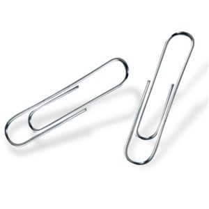 Paper Clips (100 Pack)