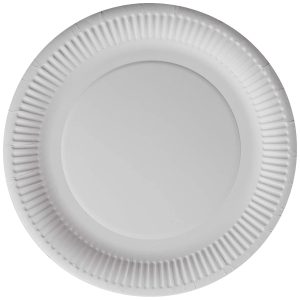 Paper Plates 230mm (6/Pack)