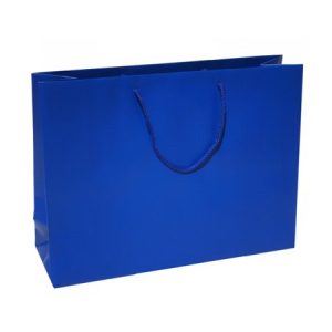 Gift Bag Medium