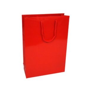 Gift Bag Large